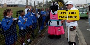 Laerskool Gansbaai se Erewag